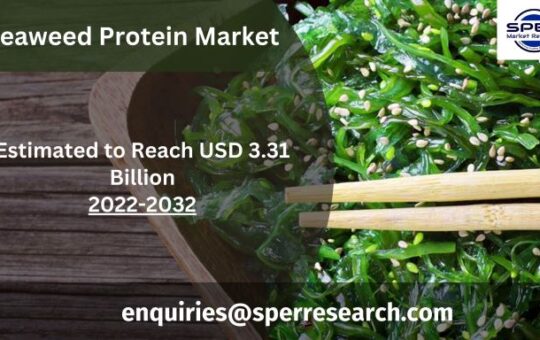 Seaweed Protein Market