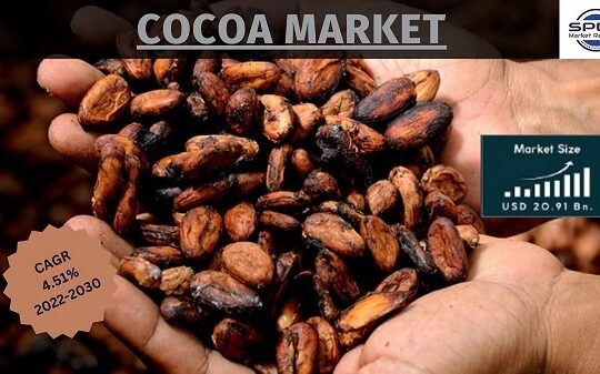 Cocoa Market