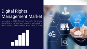 Digital Rights Management Market