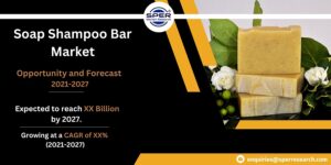 Soap Shampoo Bar Market