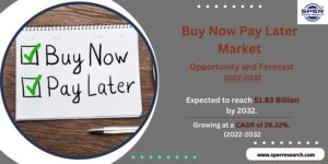 Buy Now Pay Later Market size