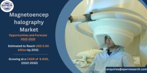 Magnetoencephalography Market