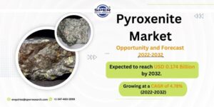 Pyroxenite Market