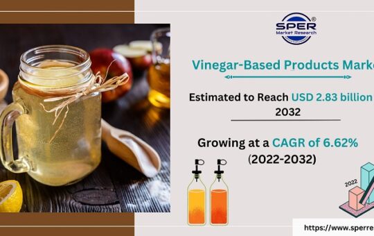 Vinegar and Vinegar-based Products Market