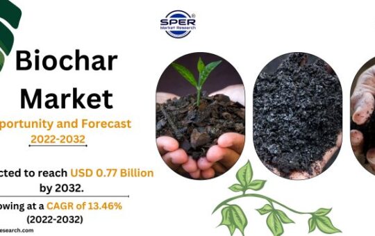 Biochar Market