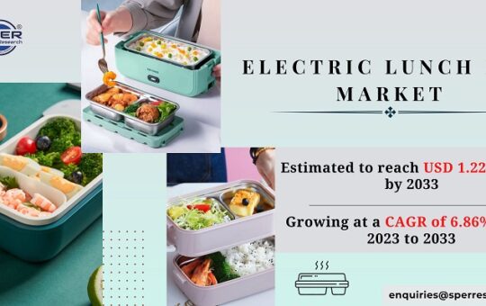 Electric Lunch Box Market Demand