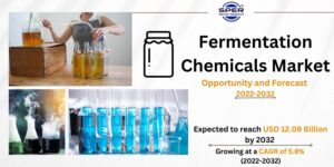 Fermentation Chemicals Market