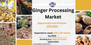Ginger Processing Market