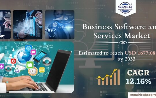 Business Software and Services Market