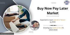 Buy Now Pay Later Market Share