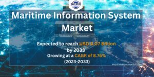Maritime Information System Market