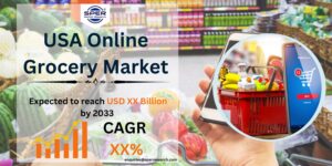 USA Online Grocery Market