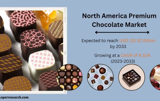 North America Premium Chocolate Market