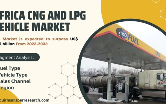 Africa CNG and LPG Vehicle Market