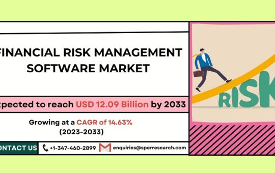 Financial Risk Management Software Market