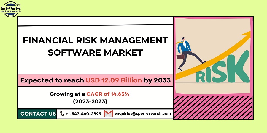 Financial Risk Management Software Market