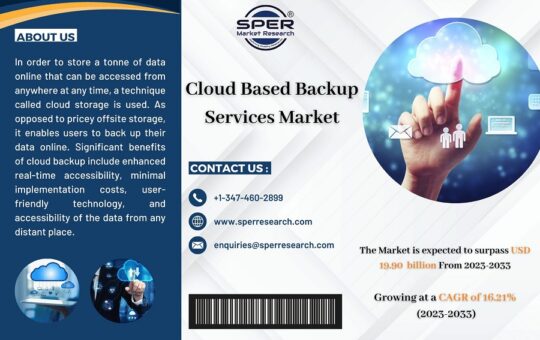 Cloud Based Backup Services Market