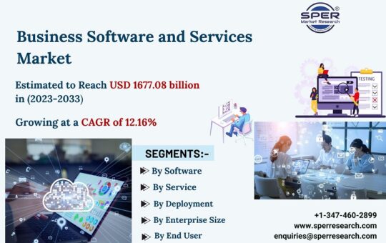 Business-Software-and-Services-Market