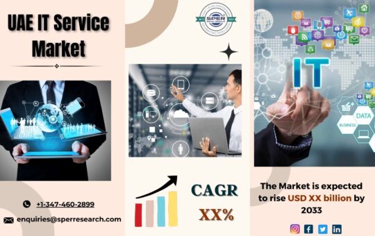 UAE IT Service Market