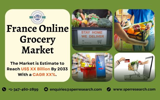 France Online Grocery Market