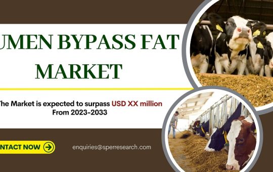 Rumen Bypass Fat Market Size