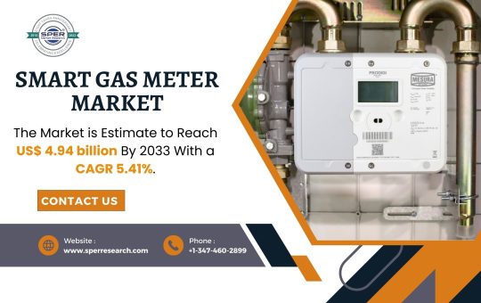 Smart Gas Meter Market