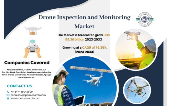 Drone Inspection and Monitoring Market