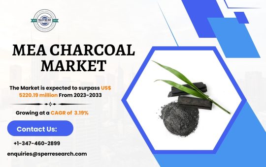 Middle East and Africa Charcoal Market