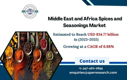 Middle East and Africa Spices and Seasonings Market