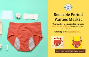 Reusable Period Panties Market