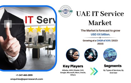 UAE IT Service Market