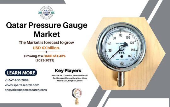 Qatar Pressure Gauge Market