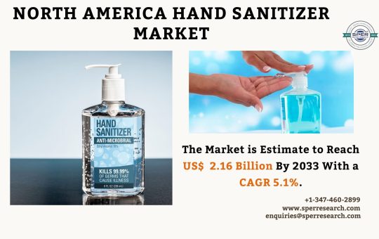 North America Hand Sanitizer Market