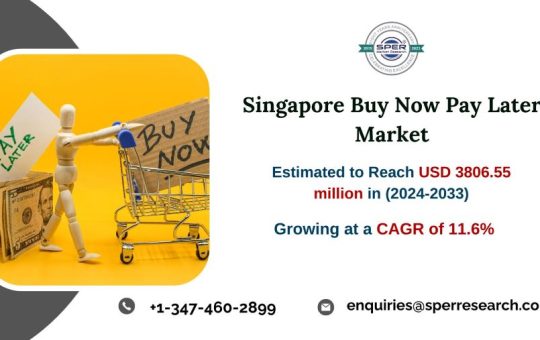 Singapore Buy Now Pay Later (BNPL) Market Size - Copy (2)