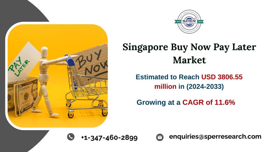 Singapore Buy Now Pay Later (BNPL) Market Size - Copy (2)