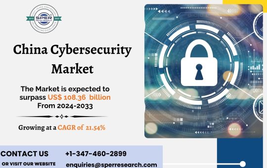 China Cybersecurity Market