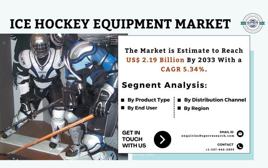 Ice Hockey Equipment Market