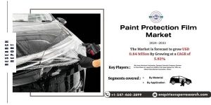 Paint Protection Film Market