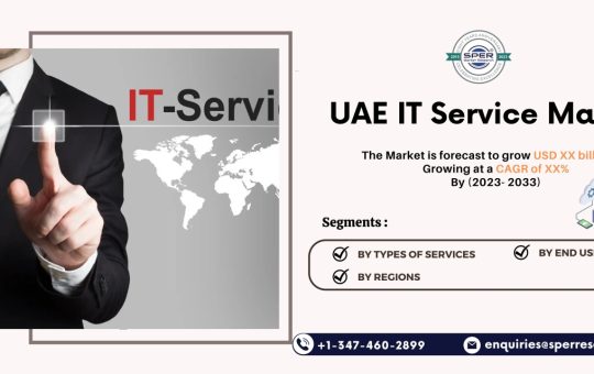 Dubai IT Service Market