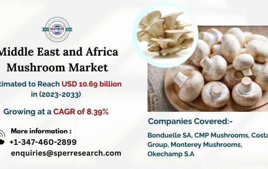 Middle East and Africa Mushroom Market