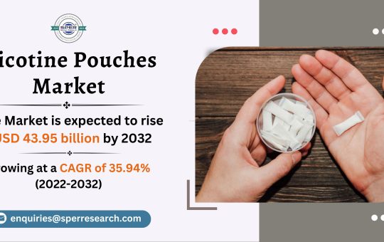 Nicotine Pouches Market