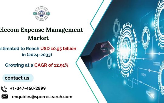 Telecom Expense Management Market