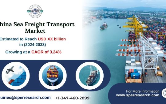 China Sea Freight Transport Market