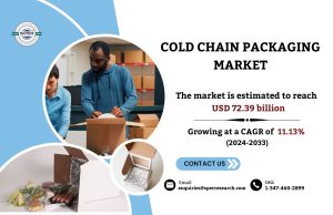 Cold Chain Packaging Market