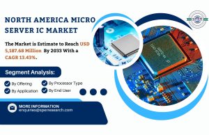 North America Micro Server IC Market