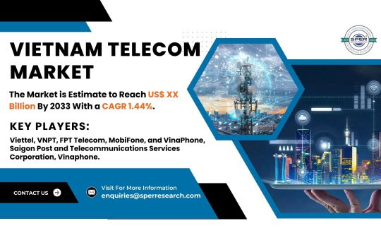 Vietnam Telecom Market