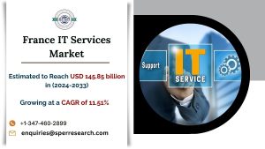 France IT Services Market