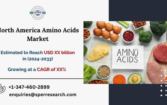 North America Amino Acids Market