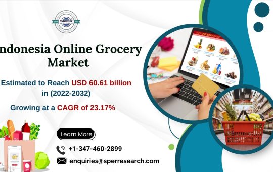 Indonesia Online Grocery Market