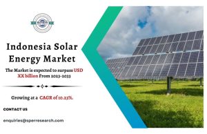 Indonesia Solar Energy Market